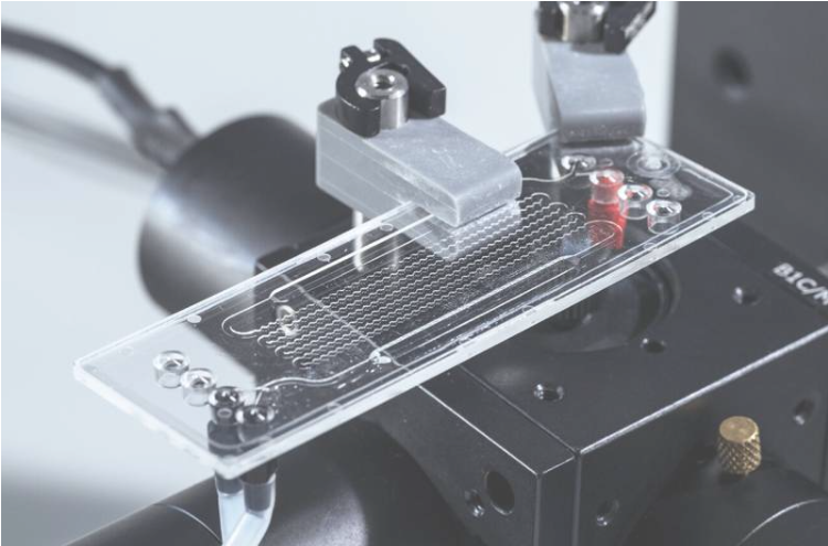 傳感器系統(tǒng)的微流控芯片特寫(xiě)。圖片來(lái)源:BAM